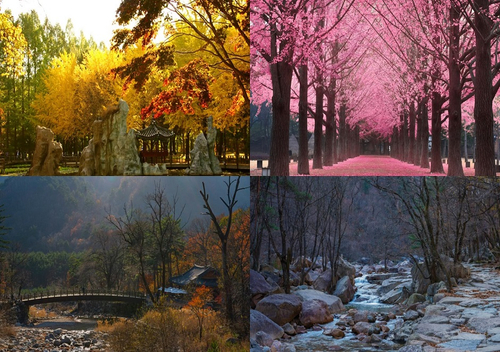 [Isola di Nami] Tour di un giorno dell'Isola di Nami + Monte Seoraksan