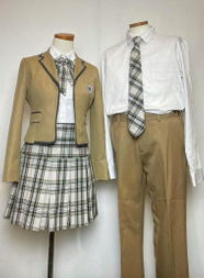 Seoul Seoulgyobog Lotte World 1 1 School Uniform Rental 1DAY Free Seoul Seoulgyobog Lotte World 1 1 School Uniform Rental 1DAY Free