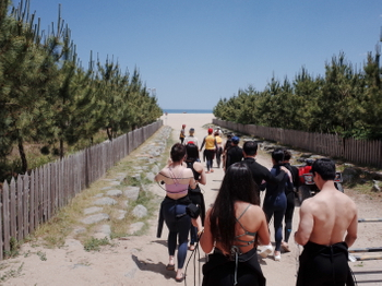 0f990837-1000surfing-lessons-2