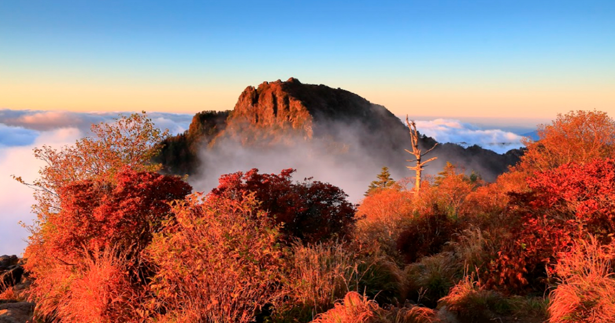 Busan-Jirisan Mountain] Jirisan National park Fall Foliage One Day
