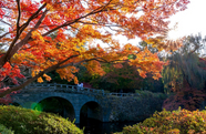  Busan Gyeongju Autumn Foliage One Day Tour By TOURSTORY Seoul PASS