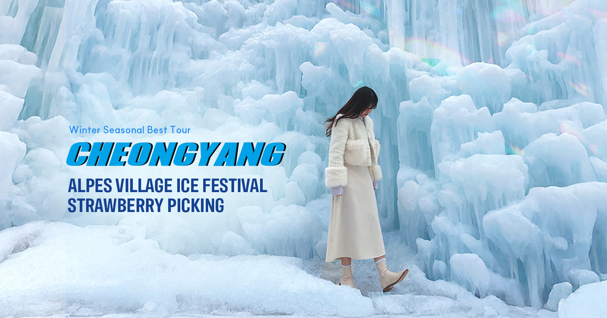 [Winter Festival] Cheongyang Ice Fountain Festival + Strawberry Picking ...