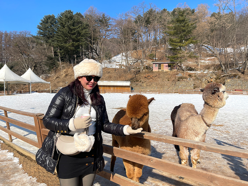 a6cde660-알파카-월드_4