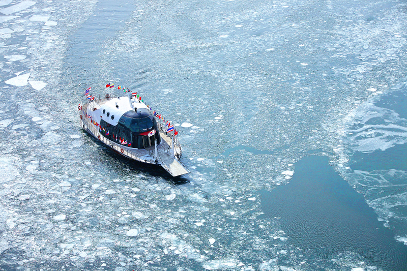 d1aa5f29-남이섬_3