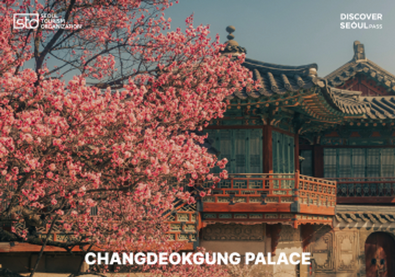 66fd462a-500Attraction-2