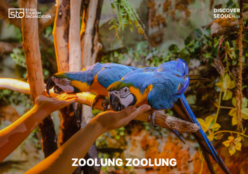 7ccec9d1-500Attraction-3