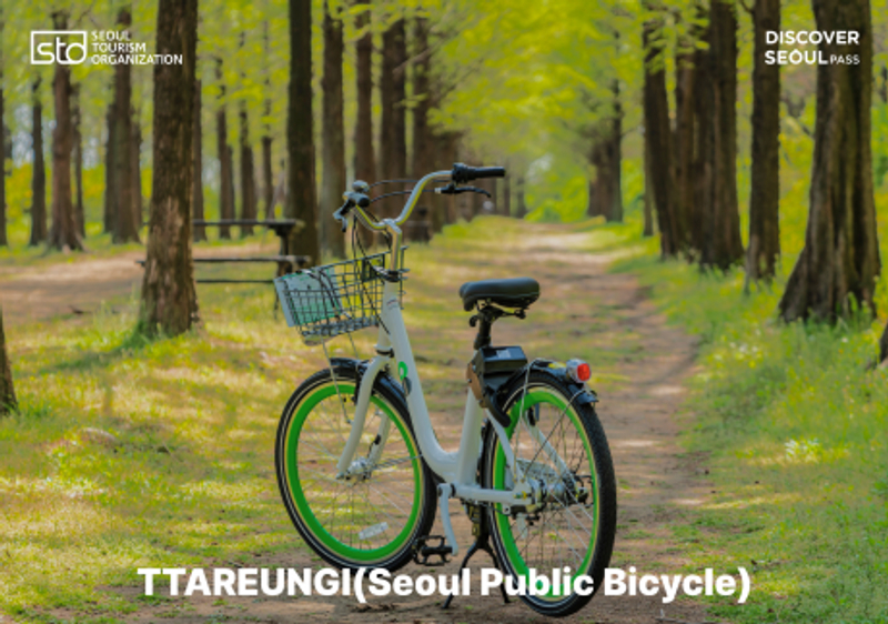 d724a73e-500Attraction-5