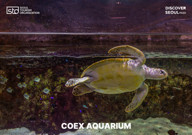 e49c813b-500Attraction-4