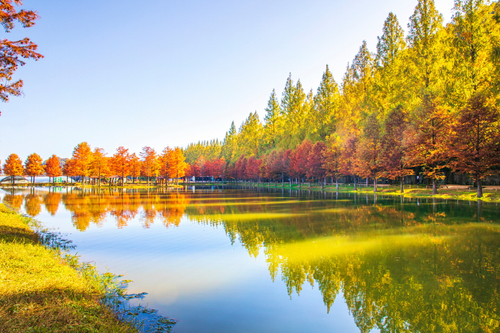 production detail image