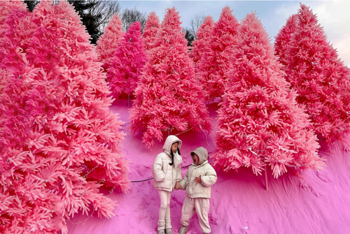 production detail image