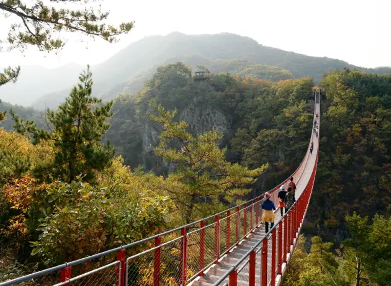 eb409bd6-서브이미지1-(4)