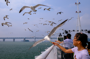 4c5d3ced-9401.대표사진(1)