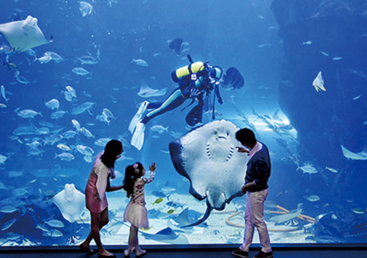 Aqua Jeju Discount Ticket Seoul PASS